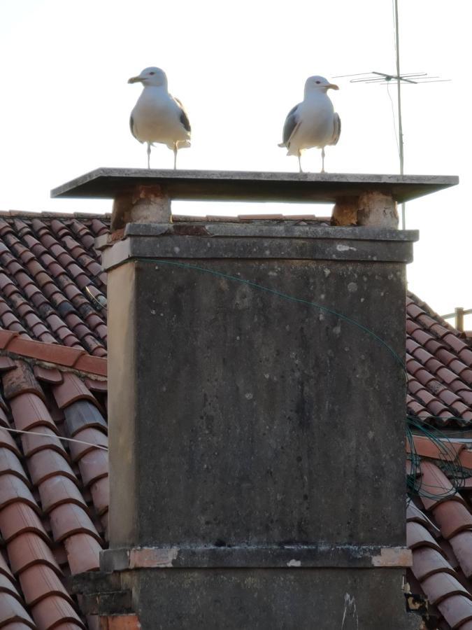 Friendly Venice Suites Eksteriør bilde